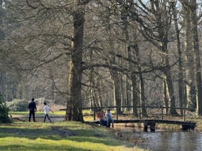 image9.jpg