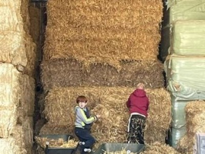 image11.jpg