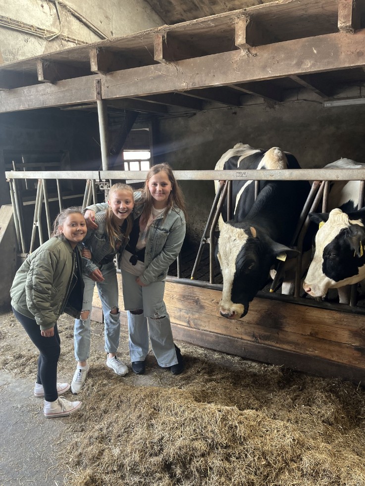 Boerderij Udink in Markelo